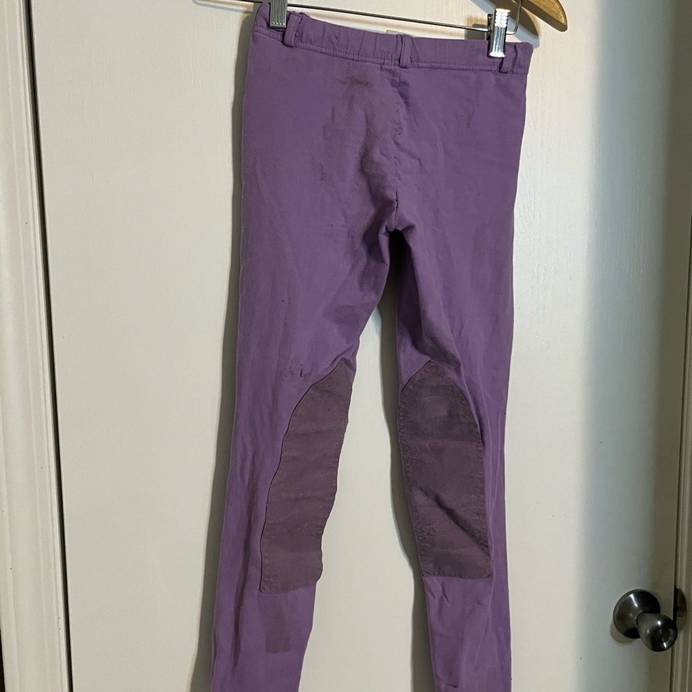 Ashley riding breeches. Purple.